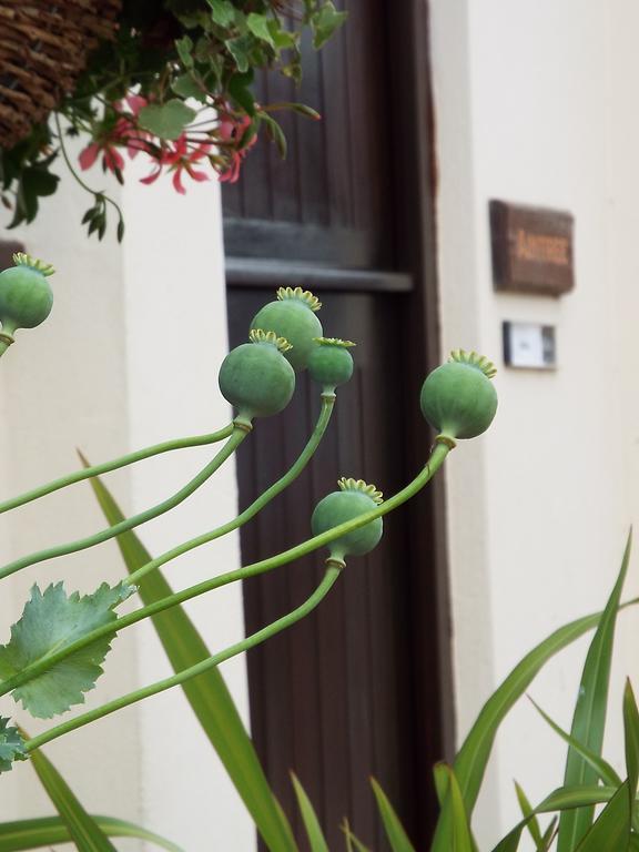 The Stableyard Apartman Bedford Szoba fotó